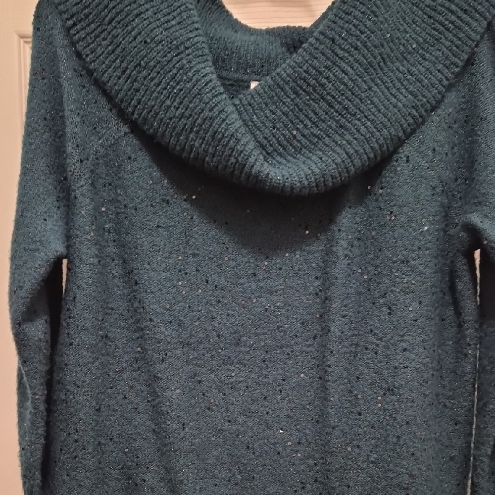 Chicos Secquin Sweater